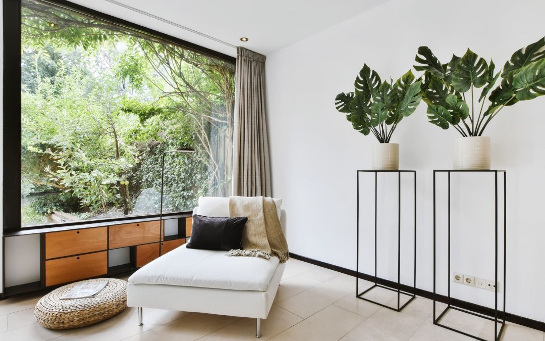 Modern room with plants and light